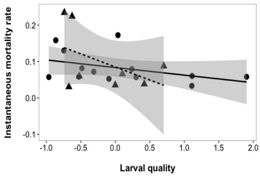 Relationship between instantaneous mortality rate (Z score) and average larval quality (PC1) for each daily cohort of G. maculatus from two sites: circle/solid line = Hutt River, triangle/dashed line = Wainuiomata River. Shaded lines represent the 95% confidence interval around the regression lines.