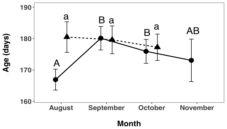 I found a significant interaction between month and site (F2, 470 = 7.7421, p = 0.0004, Figure 2 7), indicating that patterns of age variation changed across time and sites. A post hoc test showed that, in the Hutt River, fish caught in August were significantly younger than fish caught in September (p < 0.0001), and October (p = 0.0029) but not November (p = 0.3783). Fish caught in September did not differ to fish from October (p = 0.4134) or November (p = 0.2774). There was also no difference in fish caught from October and November (p = 0.8869). In the Wainuiomata River, fish caught in August showed no difference in age to fish caught in September (p = 0.9934) or October (p = 0.7513). Fish caught in September also showed no difference to fish caught in October (p = 0.8709).